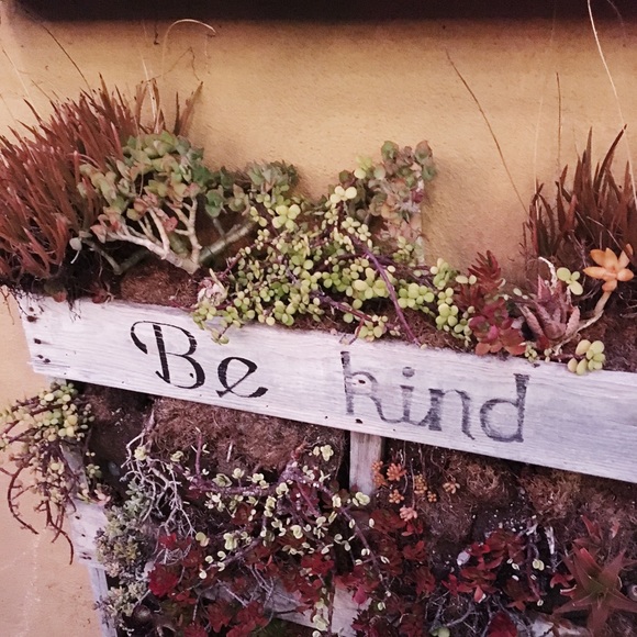 ✨Like To Bookmark My Closet!✨ - Picture 3 of 6